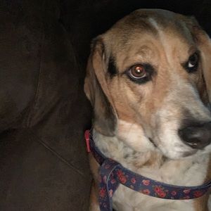 Meet your Posher, Andy